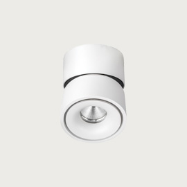 Kinetic Medium Surface Downlight